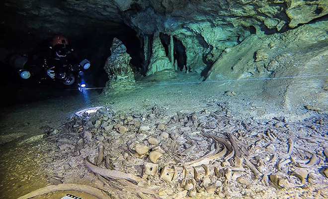 Под пирамидой Майя нашли тайный проход: лидар показал пустоту, уходящую глубоко вниз подземных, ходов, водой, продолжается, скрытые, ученые, показали, водам, подземным, значение, особое, придавали, дайверовИнтересный, привлекли, изучению, лодку, Сканеры, здесь, озеру, словно