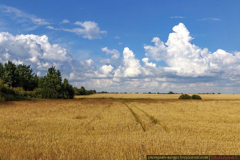 Белорусские просторы белорусия, путешествия, репортаж, фото