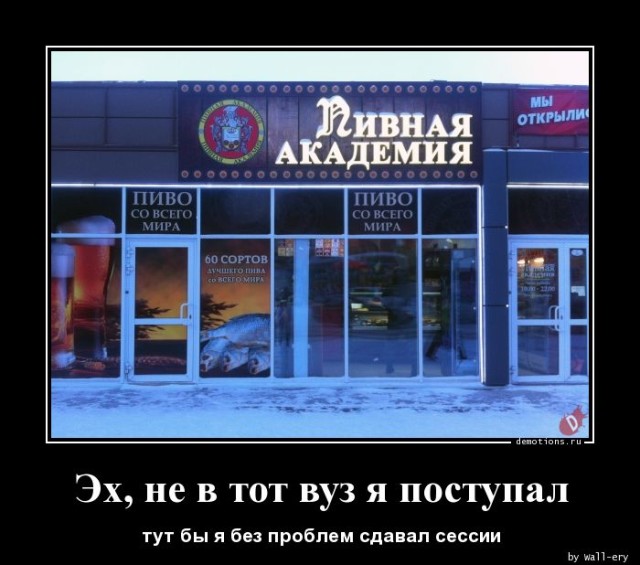 Прикольные демотиваторы: «Моя пирамида с маслоу» 