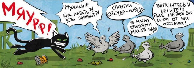 Забавные карикатуры 