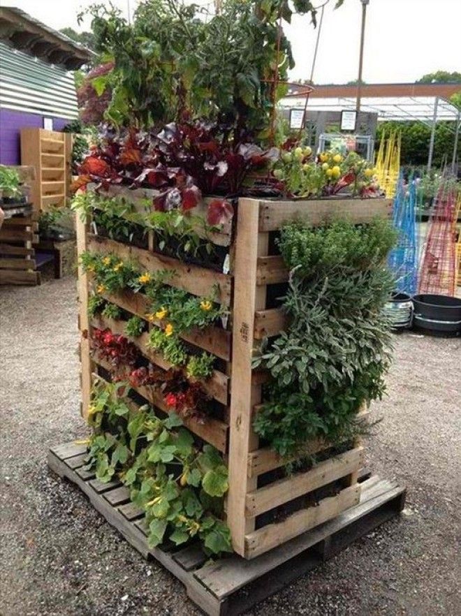 Конструкция из деревянного ящика, которая будет дарить только позитивные эмоции в момент цветения растений в ней. Конструкция из деревянного ящика которая будет дарить только позитивные эмоции в момент цветения растений в ней