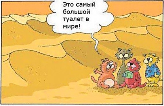 Забавные карикатурки 