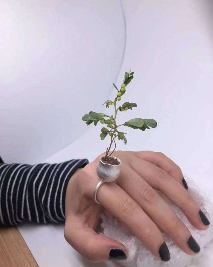 Подборка прикольных картинок  приколы,смешные картинки,юмор