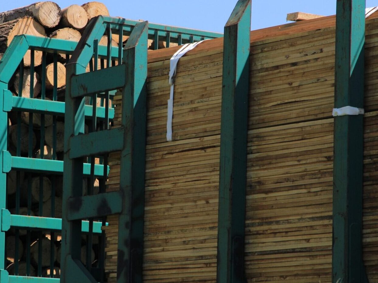 Руководителя предприятия оштрафовали на 90 тысяч рублей за оставленную древесину в защитных лесах Братского района