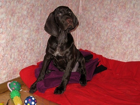 фото: Семина Михаила
