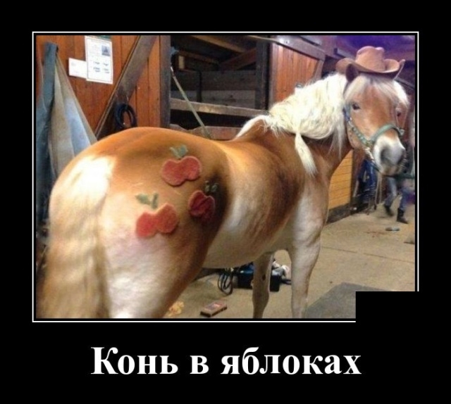 Демотиваторы на Пятницу 26 октября Демотиваторы на Пятницу 26 октября