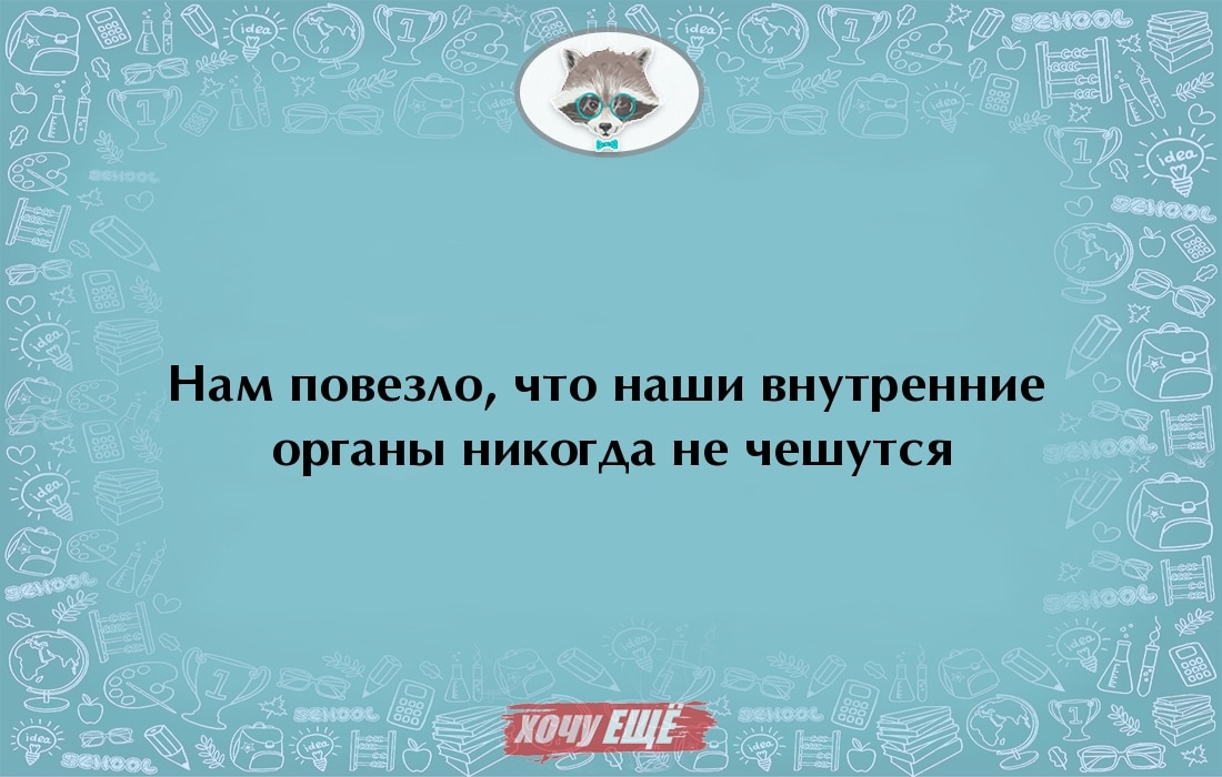 Долго домой. Чем дольше я остаюсь дома тем. Чем больше дома тем бездомнее вид. Чем дольше дома тем бездомнее. Чем больше я остаюсь дома тем бездомнее у меня вид картинка.