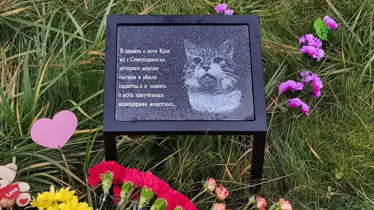 Зооактивисты потребовали максимальное наказание для убийц кота Кузи в Северодвинска