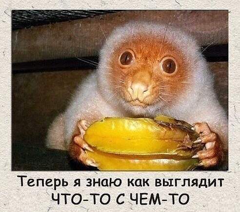 Солянка юмора из сети №7