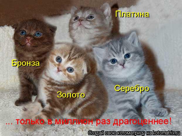 Золото Серебро Бронза Платина ... только в миллион раз драгоценнее!
