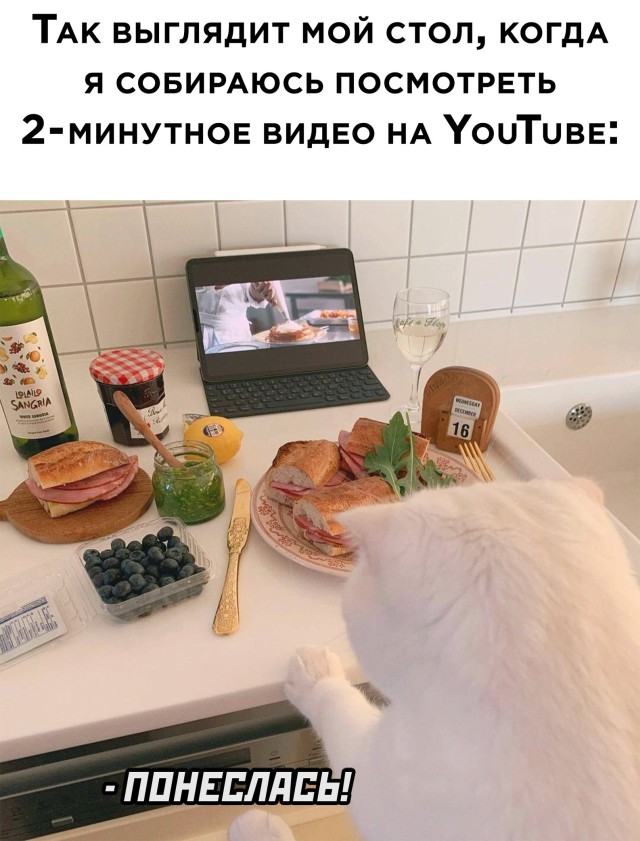 Подборка прикольных картинок  приколы,смешные картинки,юмор