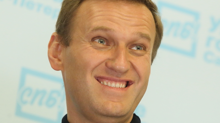 Забирайте даром!: На Украине попросили убежища для Навального