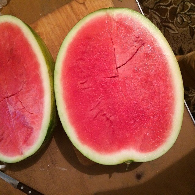 И тут я понял, что мне все равно никто не поверит И тут я понял, что мне все равно никто не поверит