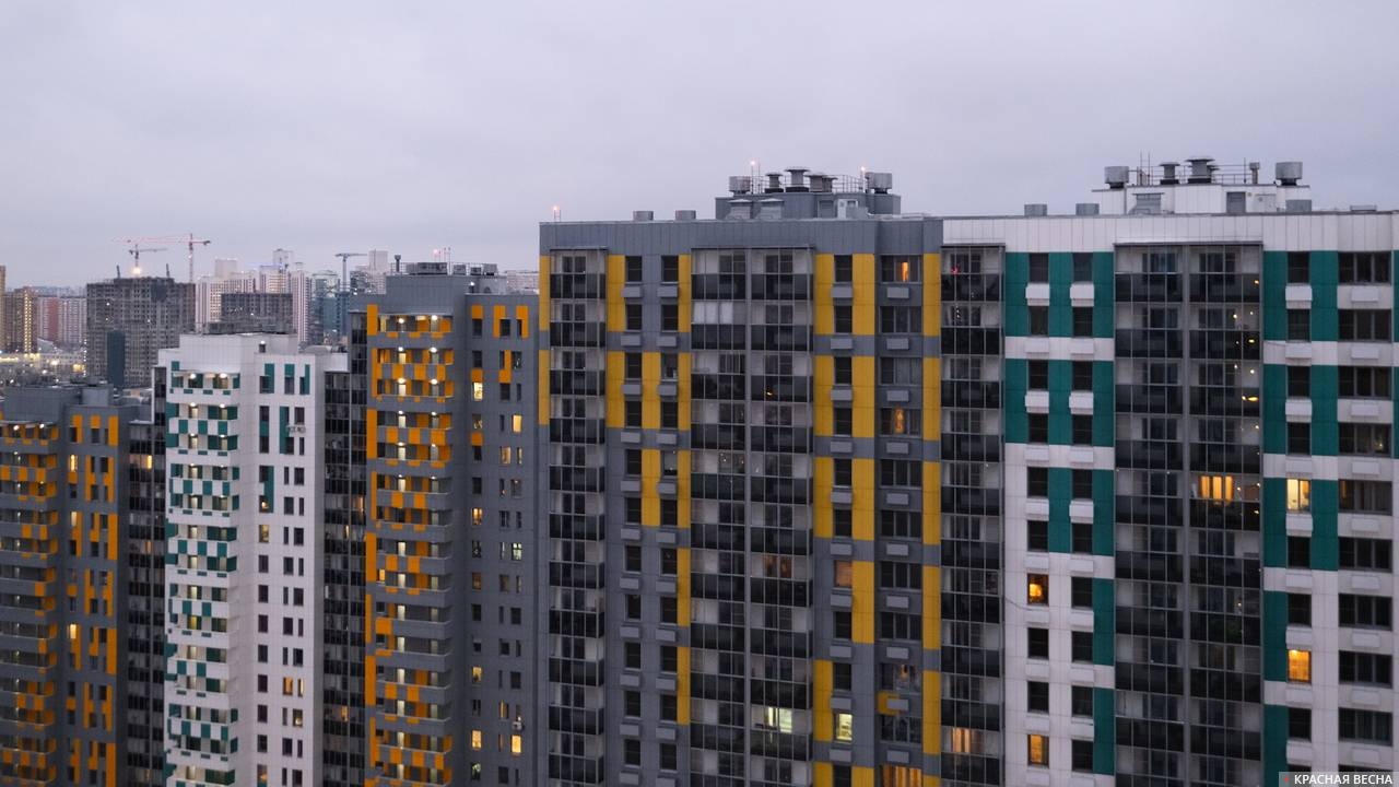 Хозяевам домашних питомцев стало проще найти квартиру в Москве