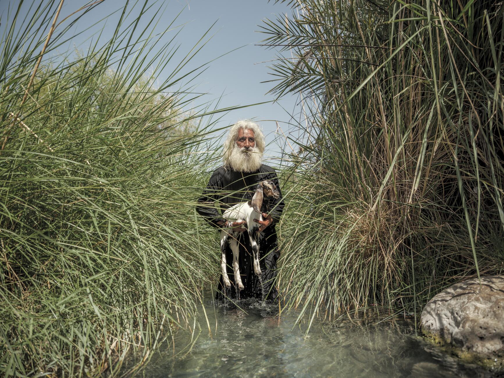 Фотография мужчины с длинными белыми волосами и большой белой бородой, одетого в черную одежду, стоит по колено в воде, окруженный очень высокой травой, и держит маленькую козу