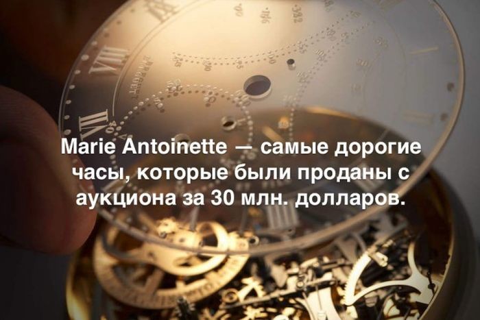 Любопытные и интересные факты обо всем на свете жизнь, факты