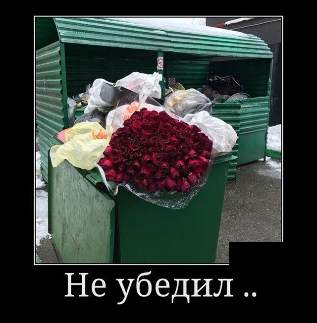 Демотиваторы (30 фото)