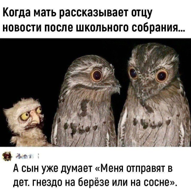 Веселые смс-переписки и ужин при свечах Веселые смс-переписки и ужин при свечах