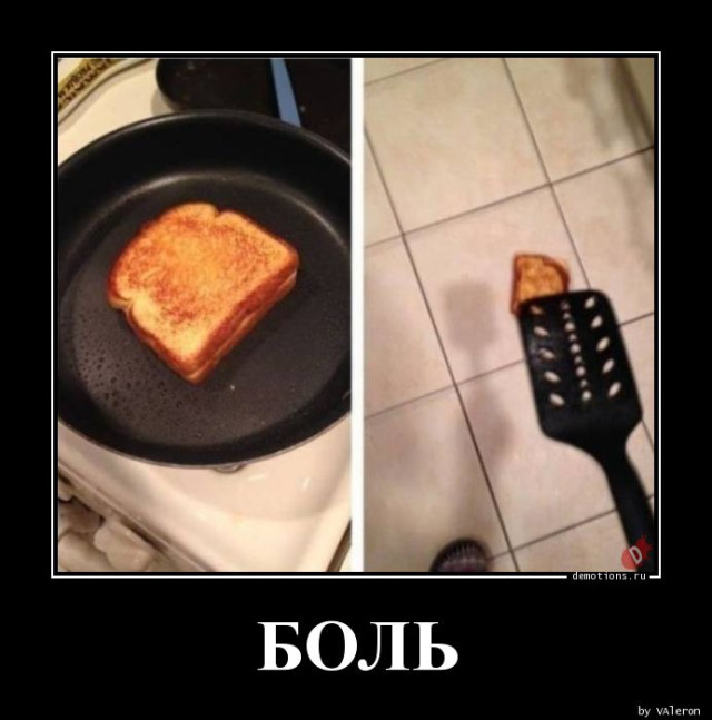 Демотиваторов пост: «Встретив медведя в лесу…» 