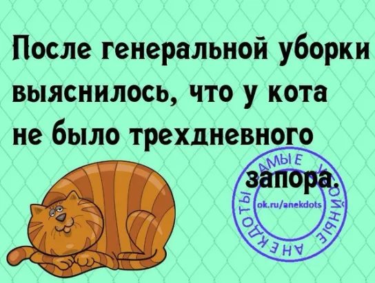 В машине.Она:— Идиот, кретин, придурок!!! Мы только что задавили кошку!!! весёлые