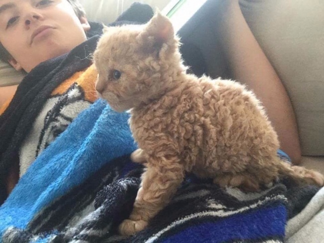Животные, которые дарят позитив. Только посмотрите!