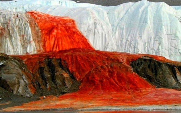«Кровавый» водопад в царстве снега и льда: в чем загадка антарктического природного феномена