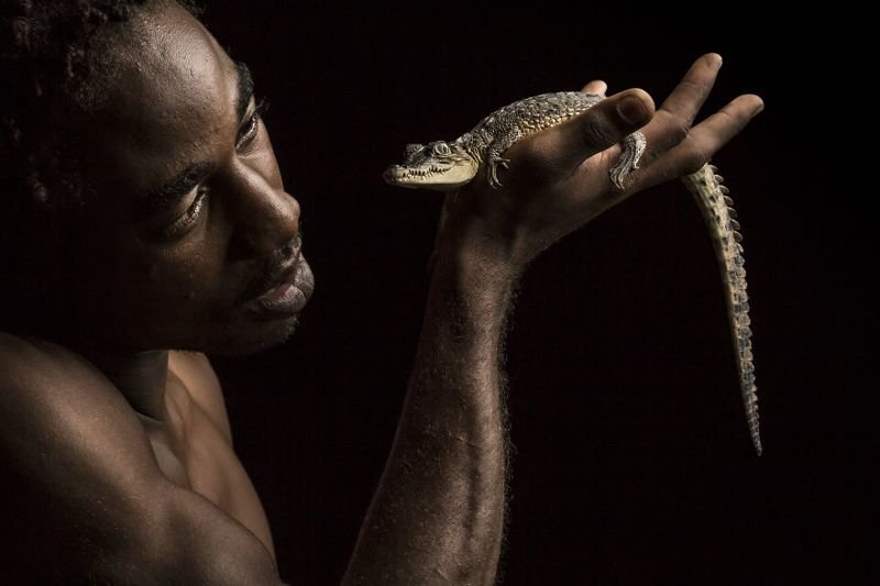 "Хранитель рептилий" с находящимся под угрозой исчезновения американским крокодилом на Ямайке животные, искусство, планета земля, природа, фото, хрупкость