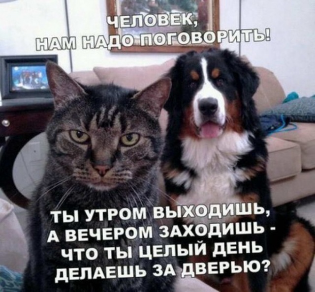 Подборка смешных картинок Подборка смешных картинок позитив,приколы,смешные картинки,юмор