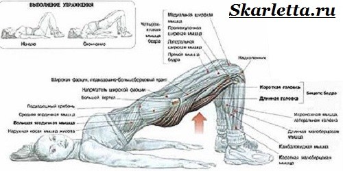 Упражнения-для-красивой-фигуры-8