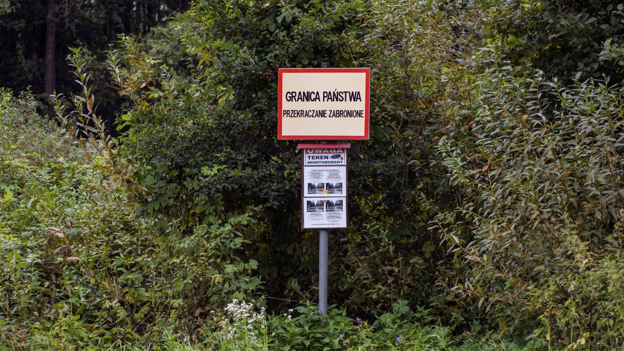 Политолог Межевич и дипломат Бабакр предрекли пути решения миграционного кризиса в Европе