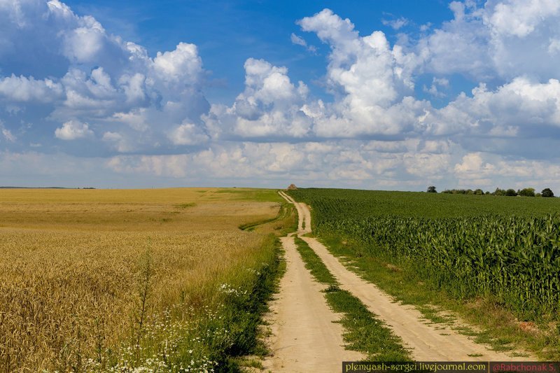 Белорусские просторы белорусия, путешествия, репортаж, фото