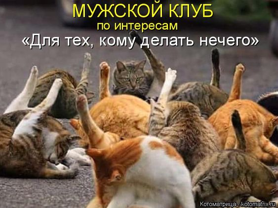 - Выйдешь за меня?- Конечно, дорогой! Я так долго ждала этого!.. Весёлые