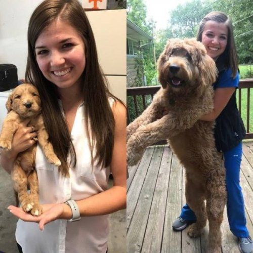 Эмоции и настроение в фотографиях Эмоции и настроение в фотографиях