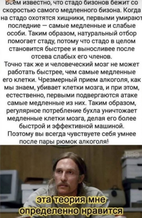 Короткие истории 
