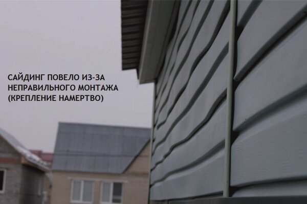 Источник изображения: Яндекс Картинки