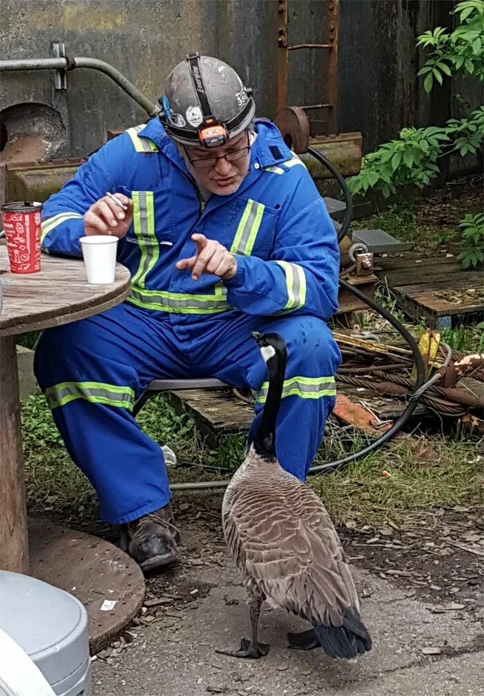 Такое бывает только в Канаде! заграница,путешествие,страны,туризм