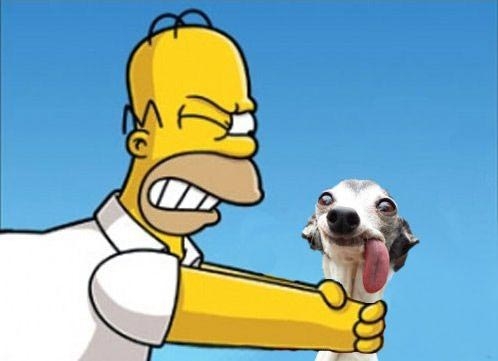 битва фотошоперов собака с языком, фотошоп собака с языком, фотожабы собака с языком