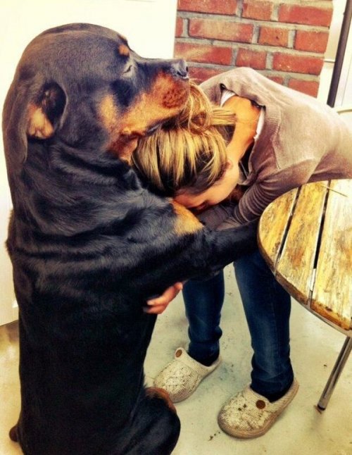 Прикольные шутки Прикольные шутки