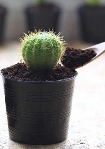 Почему не стоит выкидывать кофейную гущу. 6 полезных в быту идей кофейная гуща,полезные советы