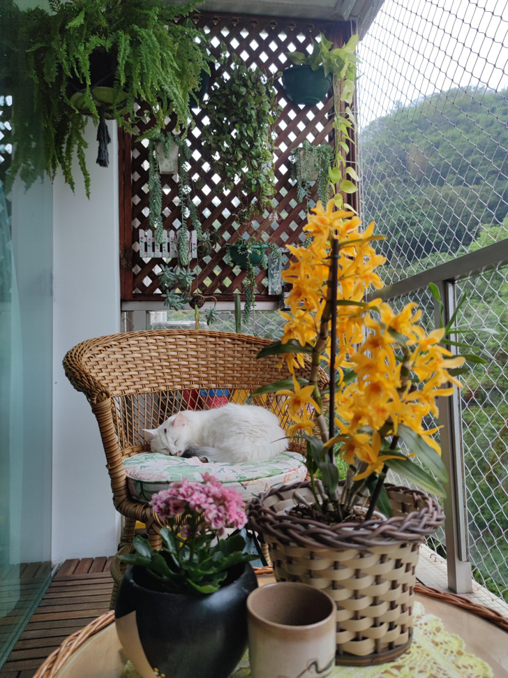 15 человек забабахали балкон мечты, и нам теперь сидеть и завидовать идеи для дома,интерьер и дизайн