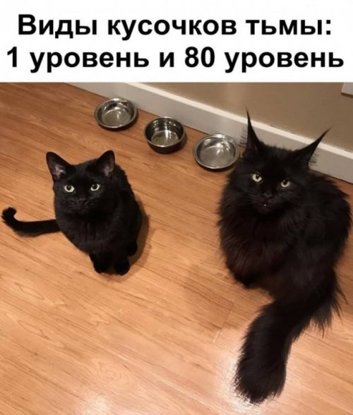 Праздничные фото-приколы и не только Праздничные фото-приколы и не только