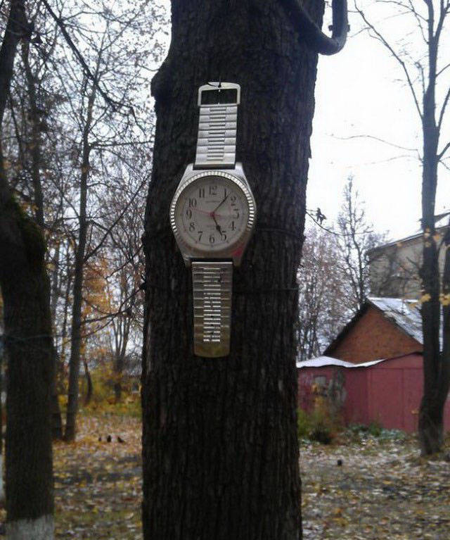 Удивительные снимки с российских просторов люди, прикол, россия