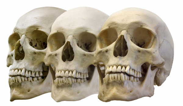 Почему в Неаполе повсюду черепа