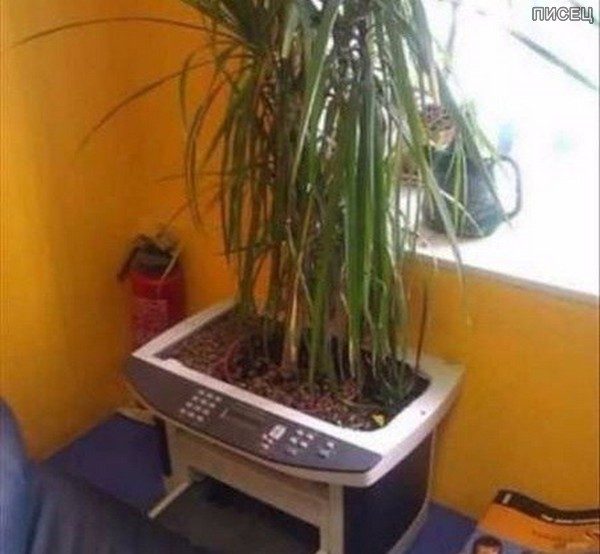 Приколы на работе. Хорошего всем настроения! Приколы на работе. Хорошего всем настроения! смешные картинки