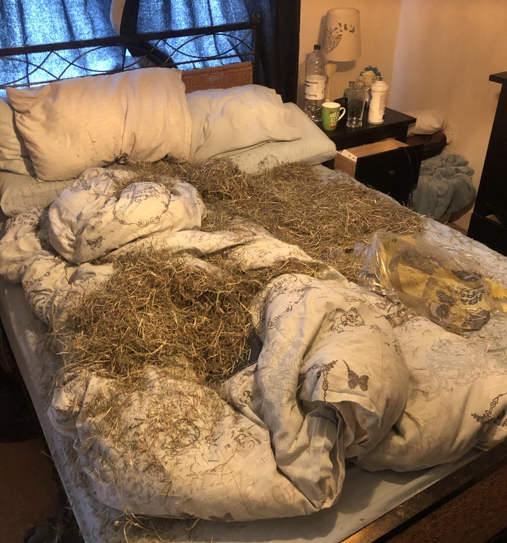 20 фото, на которых запечатлена боль вселенских масштабов 