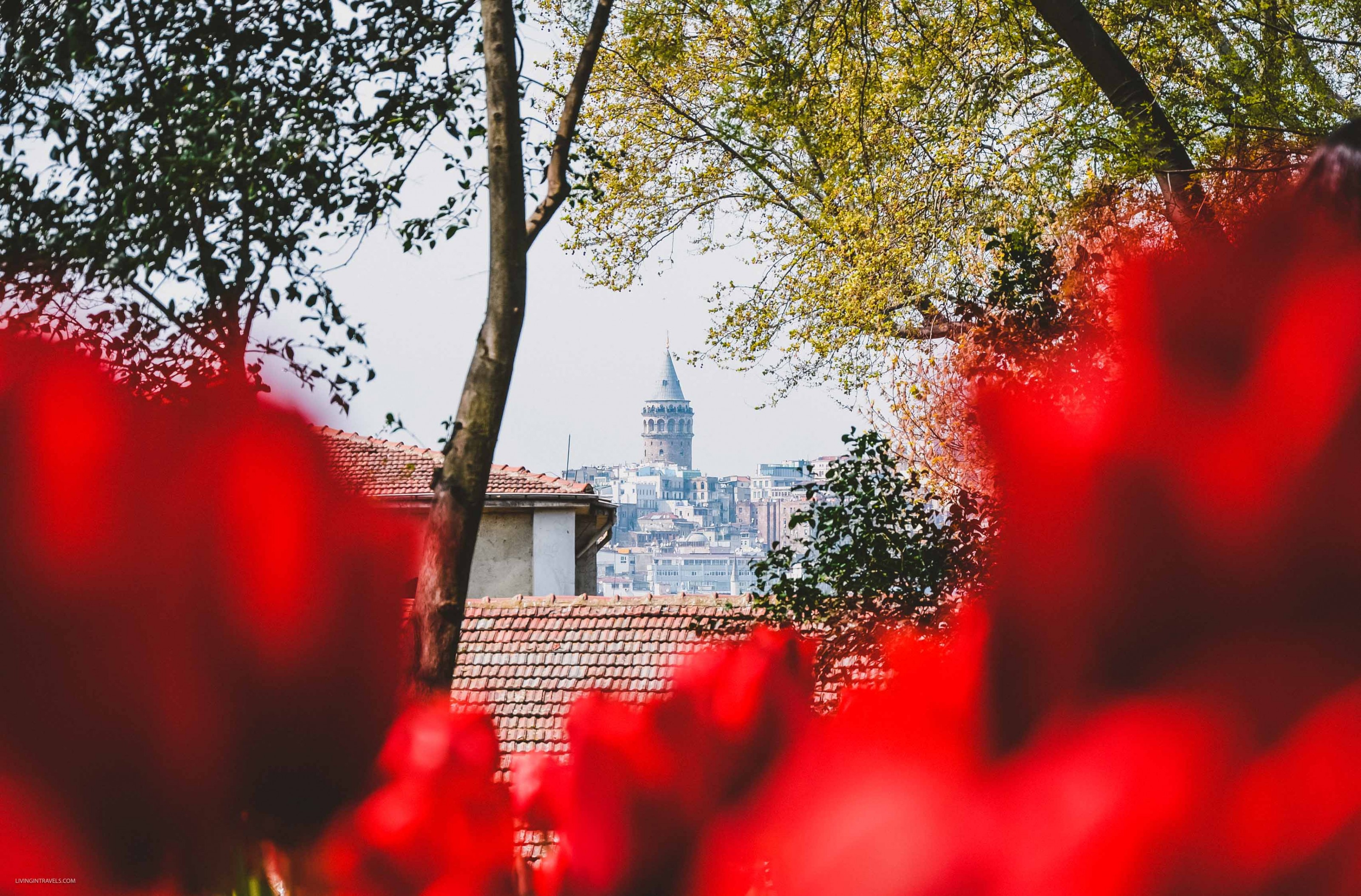 10 причин почему я не люблю Стамбул 10 причин почему я не люблю Стамбул страны,туризм