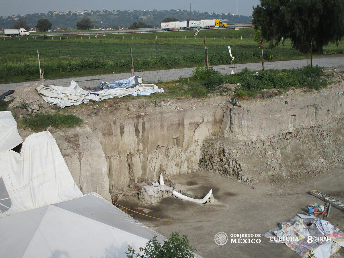 Фотография с поверхности земли для оценки глубины залегания костей мамонта.