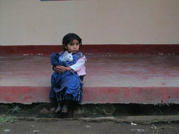 О дружбе О дружбе