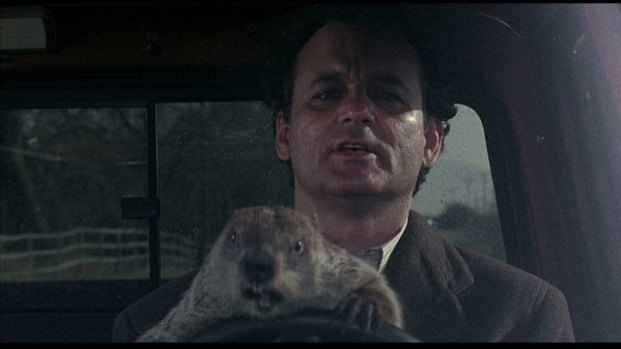 Экс-спикер Палаты представителей США сравнил политику Байдена с фильмом «День сурка» Политика