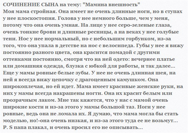 Сочинение Характеристика Человека В Художественном Стиле